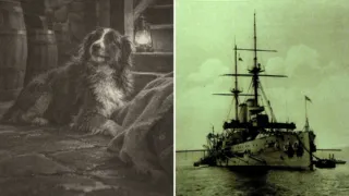 lassie lyme regis collie marinero 1915 hero