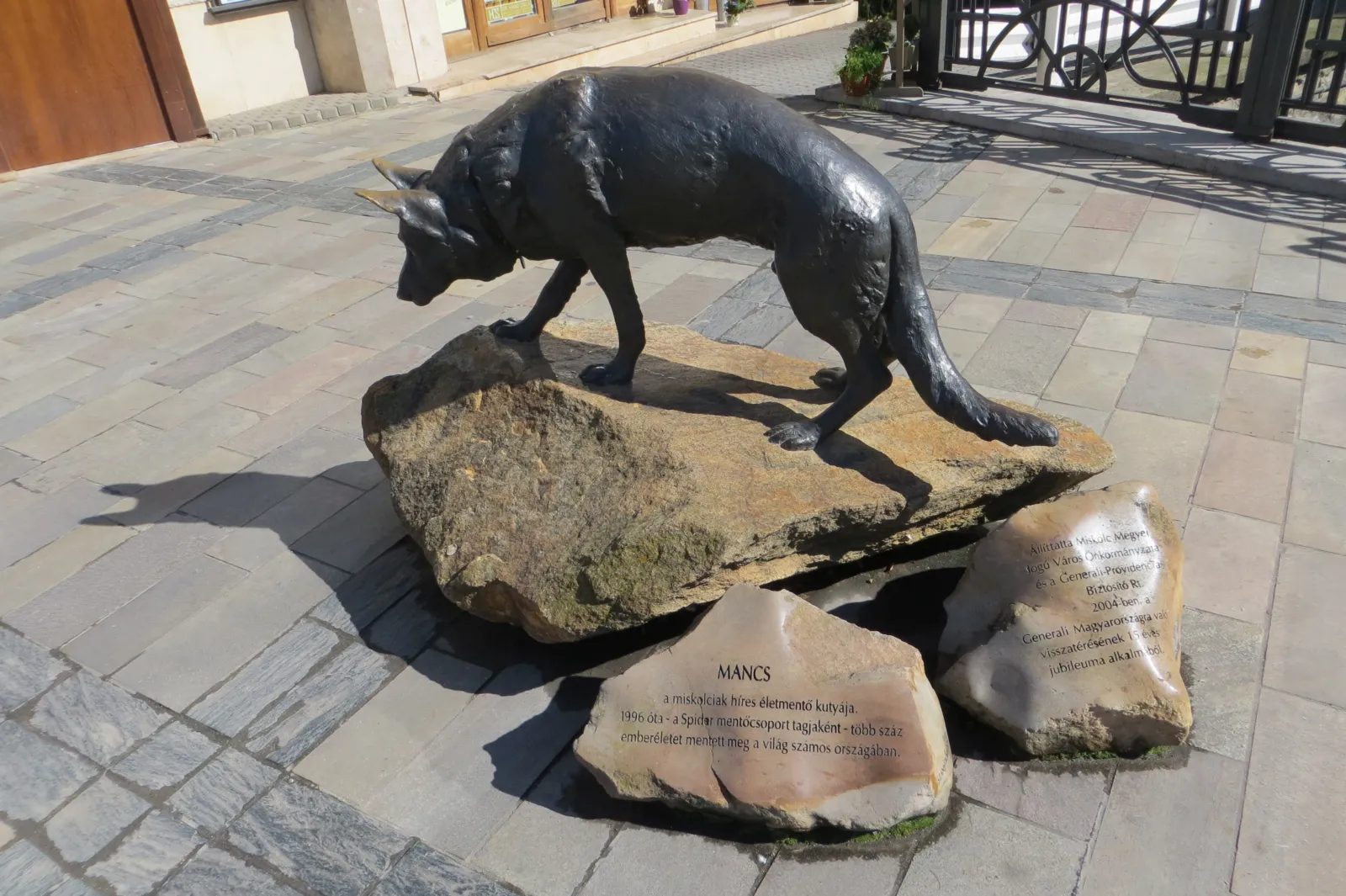 Más de tres días después del terremoto, un perro tenía una sola pista para hallar a una niña de 3 años: su manta 2 Estatua de bronce de Mancs, un pastor alemán, en Miskolc, Hungría