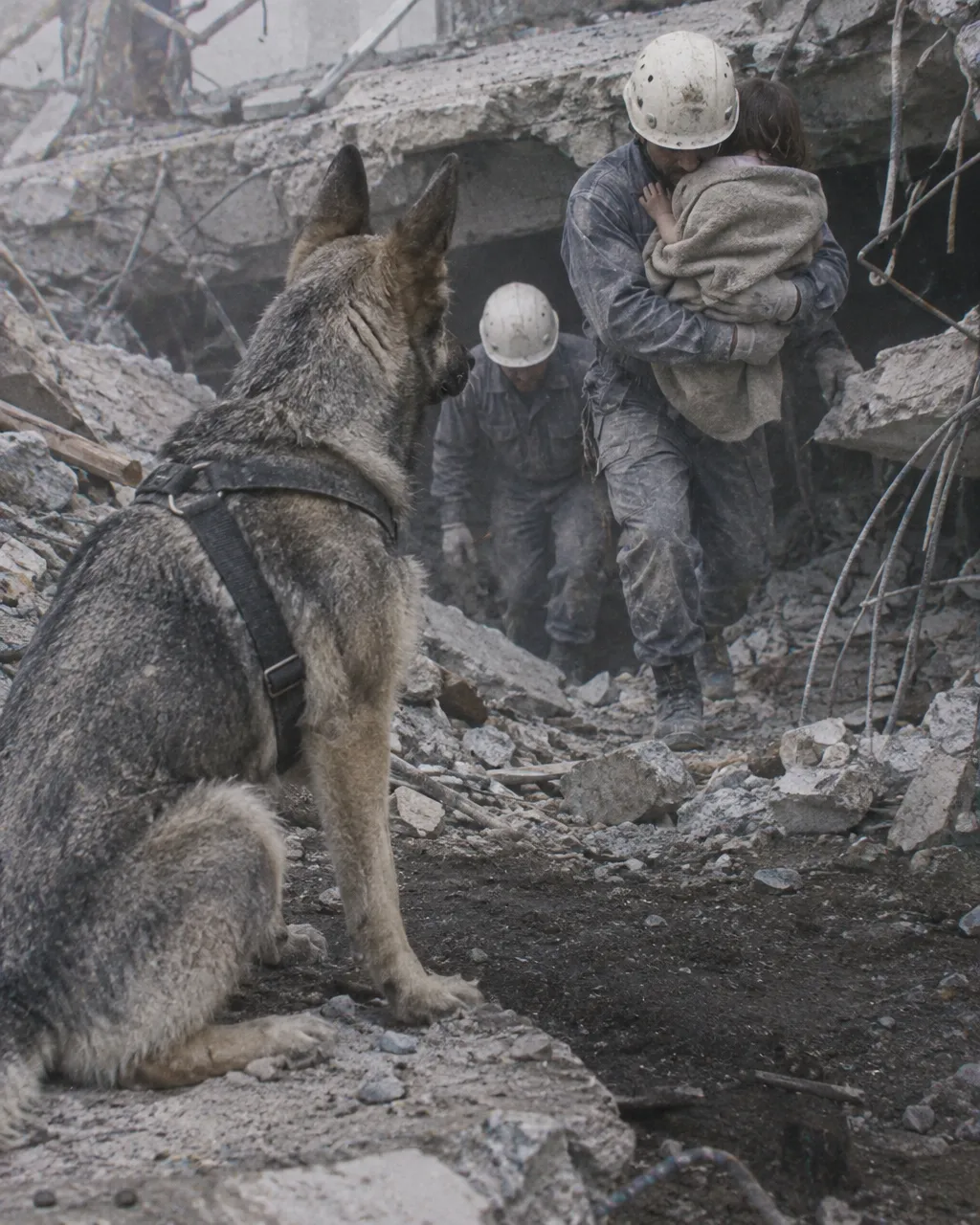 Más de tres días después del terremoto, un perro tenía una sola pista para hallar a una niña de 3 años: su manta 5 Restos de un edificio de viviendas derrumbado tras un terremoto en una ciudad turca