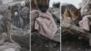 mancs perro de rescate terremoto izmit hero