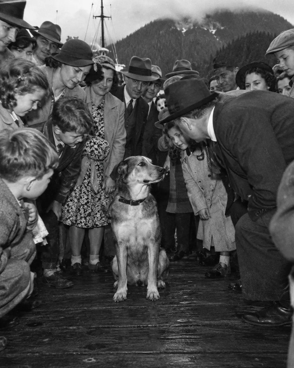 Patsy Ann, la perra sorda que sabía a qué muelle de Juneau llegaría cada barco 3 Perro mediano de pelo corto en medio de una multitud sobre un muelle de madera, en una foto en blanco y negro de los años treinta tomada a ras del suelo