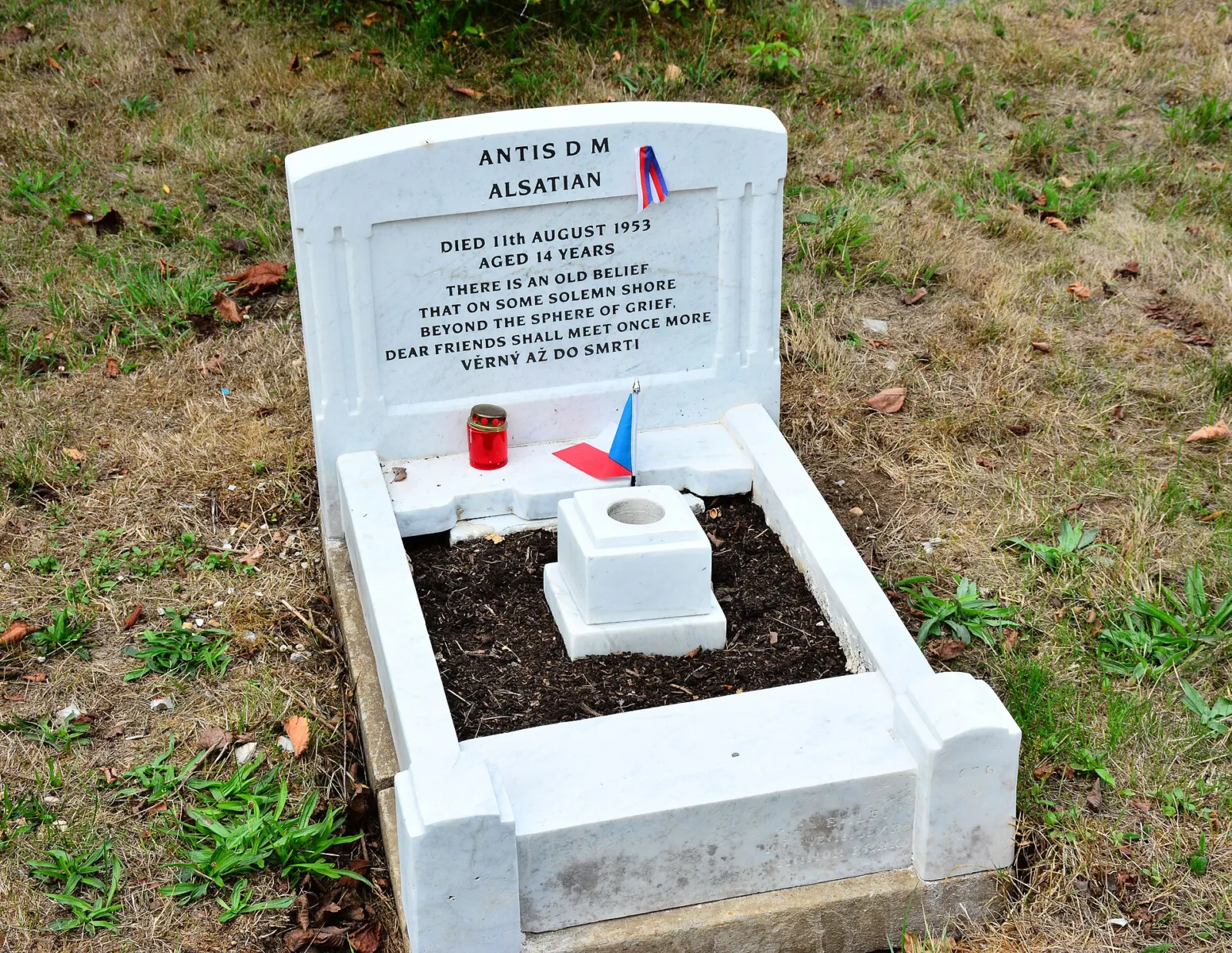 Antis, el perro que se coló en los bombarderos de la RAF y años después tuvo que cruzar el telón de acero 3 La Medalla Dickin concedida al perro Antis, fotografiada en el cementerio de animales de Ilford, en Londres