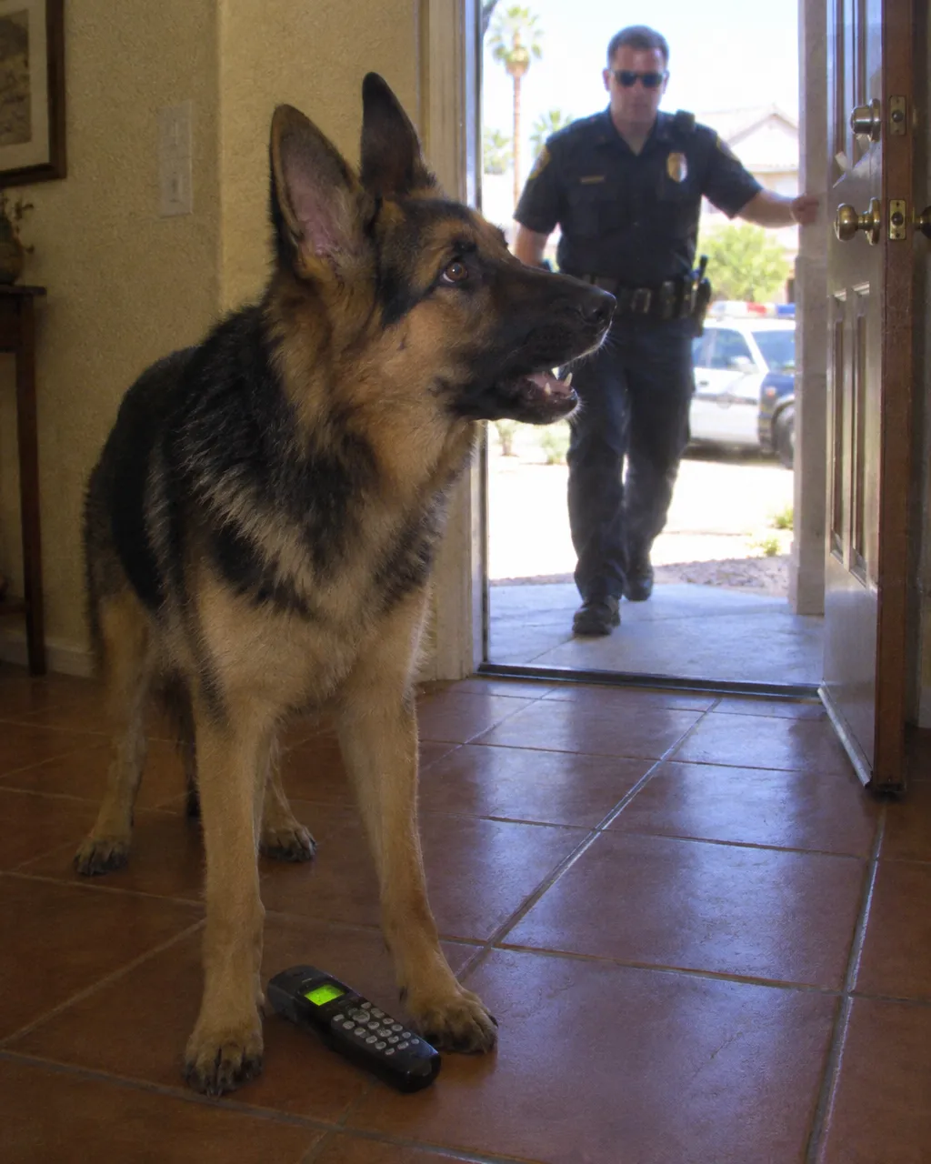 El pastor alemán que llamó al 911 mientras Joe convulsionaba y solo pudo responder con ladridos 4 Entrada de una casa de Arizona con paredes de estuco beige y piso de terracota, vista a la altura del hombro de un perro.
