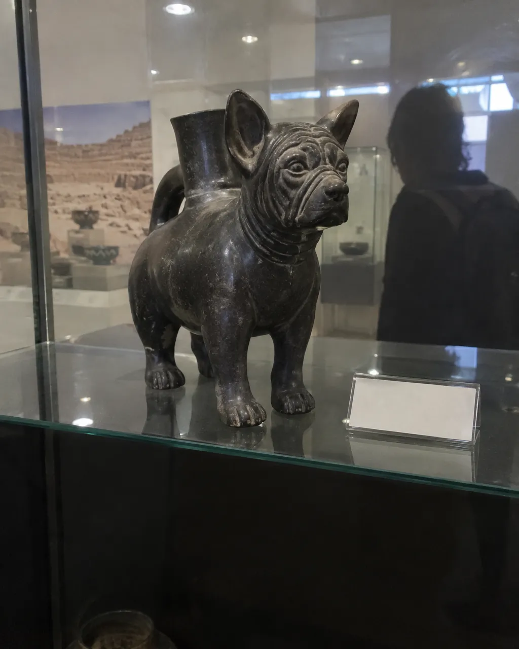 Vasija de cerámica negra con forma de perro sin pelo de rostro arrugado, dentro de una vitrina de museo con reflejos de luz en el vidrio