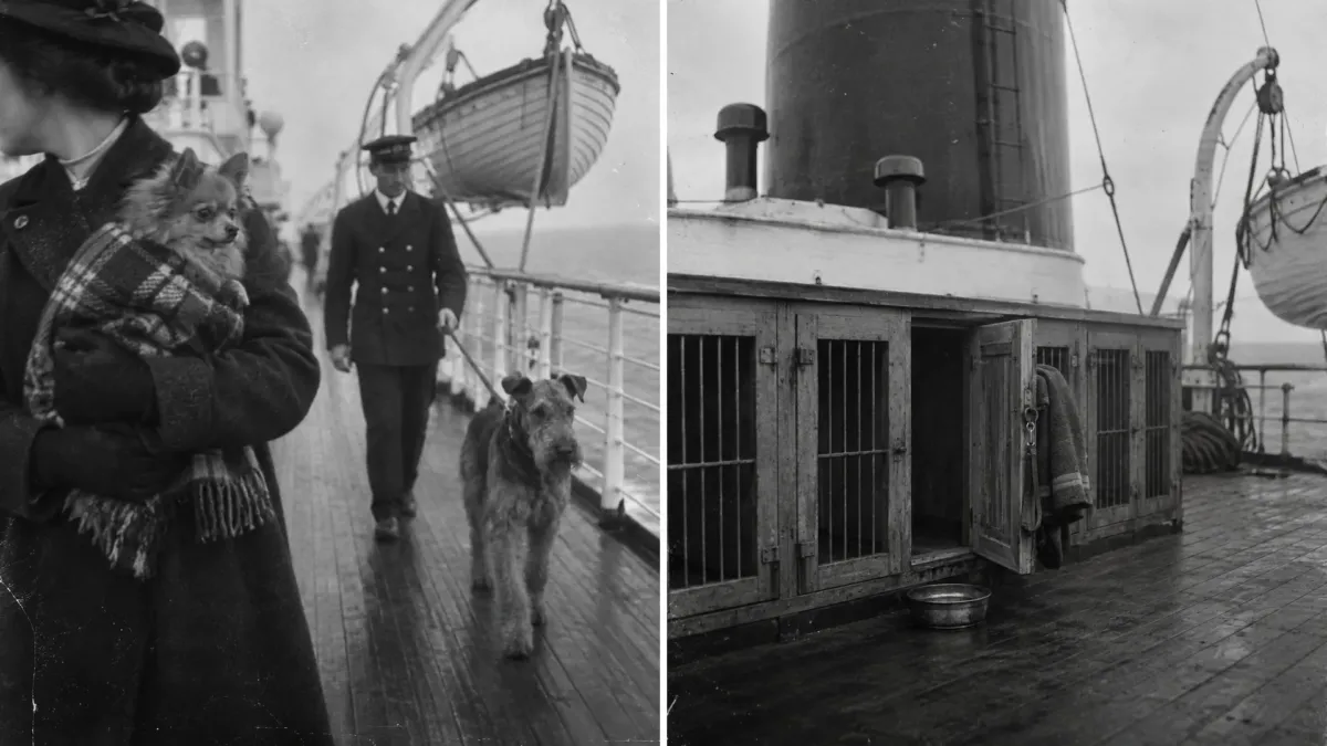 El Titanic tenía una exposición canina para el día en que se hundió: solo tres perros sobrevivieron 1 El Titanic tenía una exposición canina para el día en que se hundió: solo tres perros sobrevivieron
