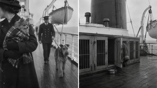 El Titanic tenía una exposición canina para el día en que se hundió: solo tres perros sobrevivieron