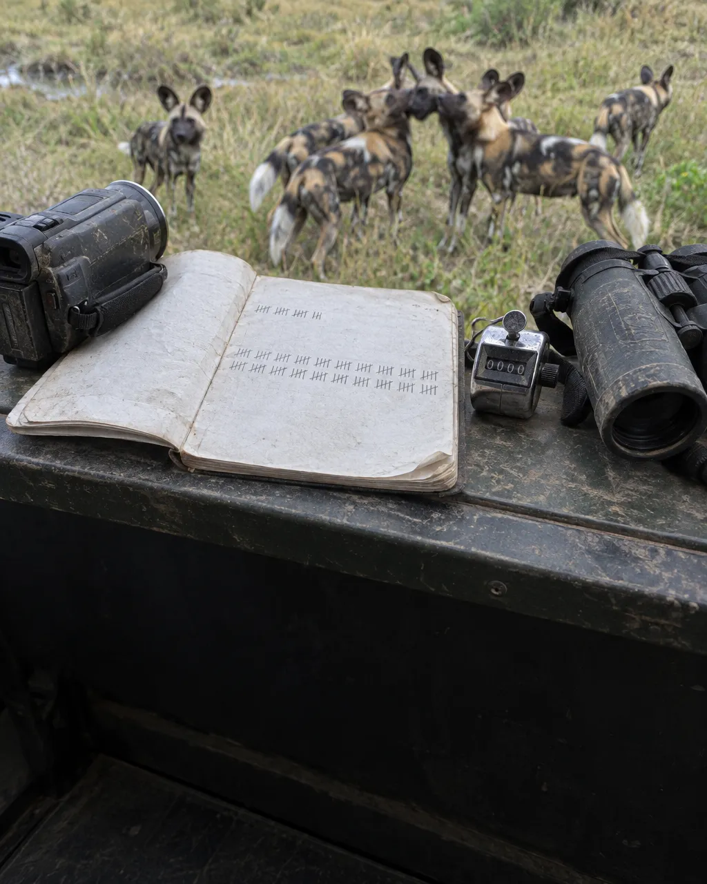 Libreta de campo gastada y abierta sobre el borde polvoriento de la puerta de un vehículo de investigación, con filas de marcas de conteo a lápiz agrupadas de cinco en cinco.