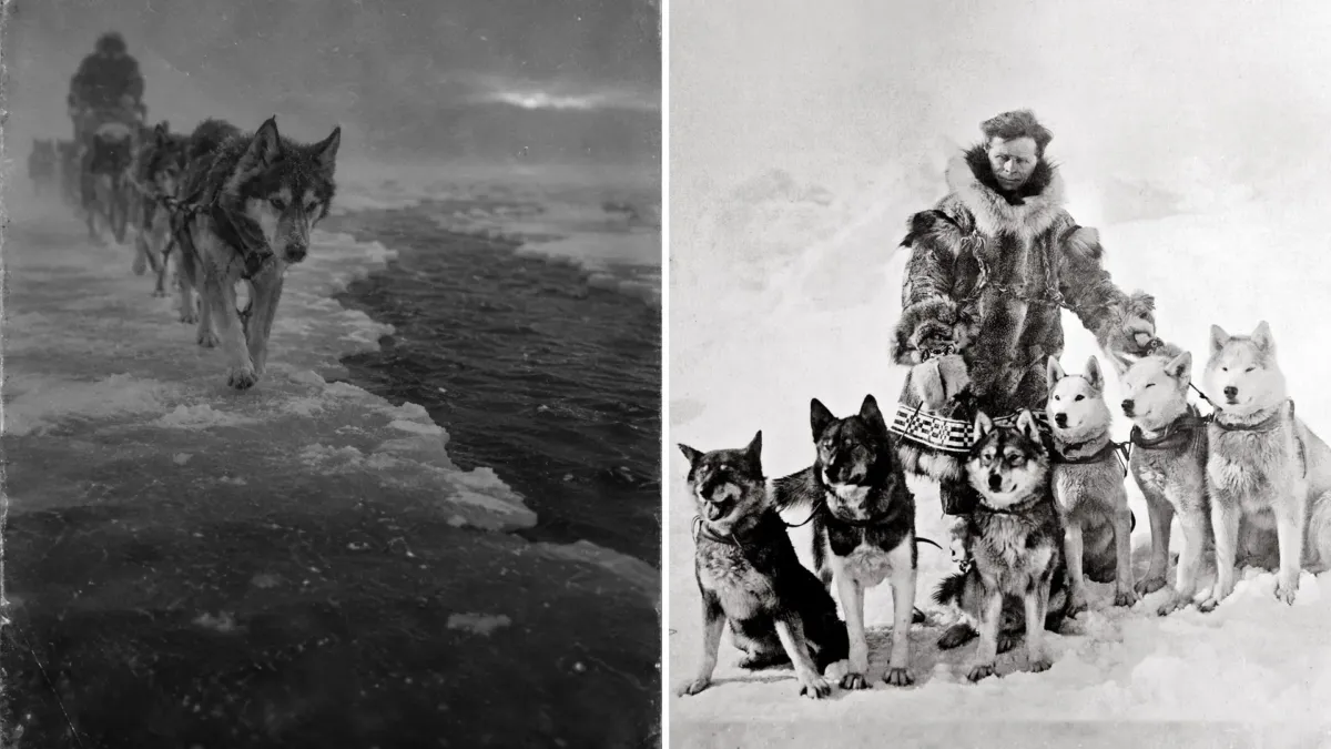 Un perro de 12 años corrió 420 km contra una epidemia en Alaska, y la estatua fue para otro 1 Un perro de 12 años corrió 420 km contra una epidemia en Alaska, y la estatua fue para otro