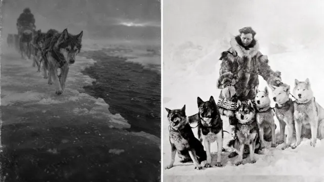 Un perro de 12 años corrió 420 km contra una epidemia en Alaska, y la estatua fue para otro