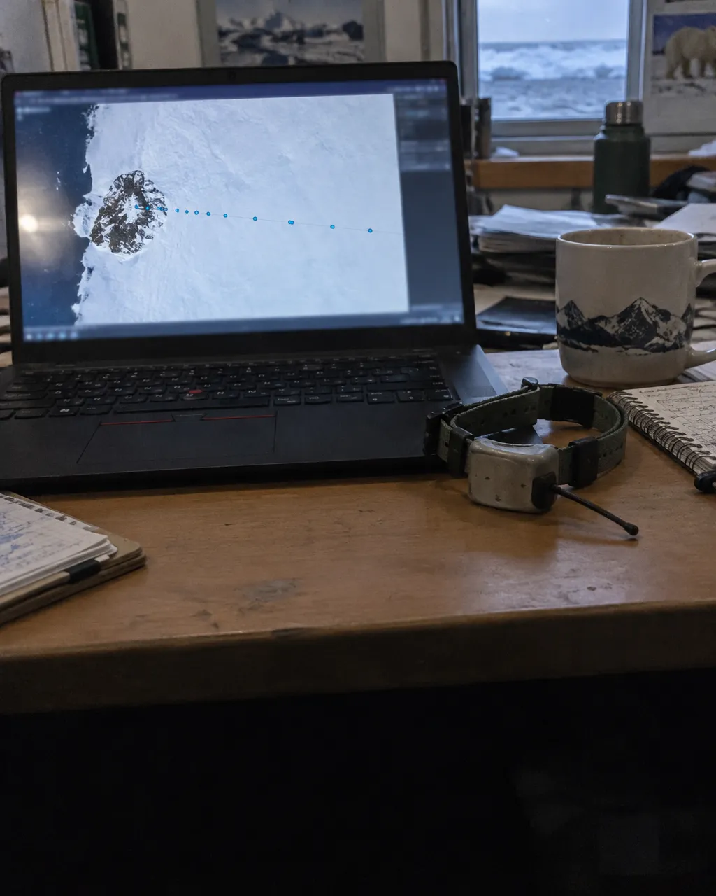 Una zorra ártica de menos de un año caminaba sobre el mar helado, y nadie creyó los datos 5 Computadora portátil sobre un escritorio desordenado, con un mapa de seguimiento satelital en pantalla: una línea de puntos brillantes y espaciados sale de una isla y cruza una gran extensión blanca de mar helado; al lado, un pequeño collar de seguimiento.